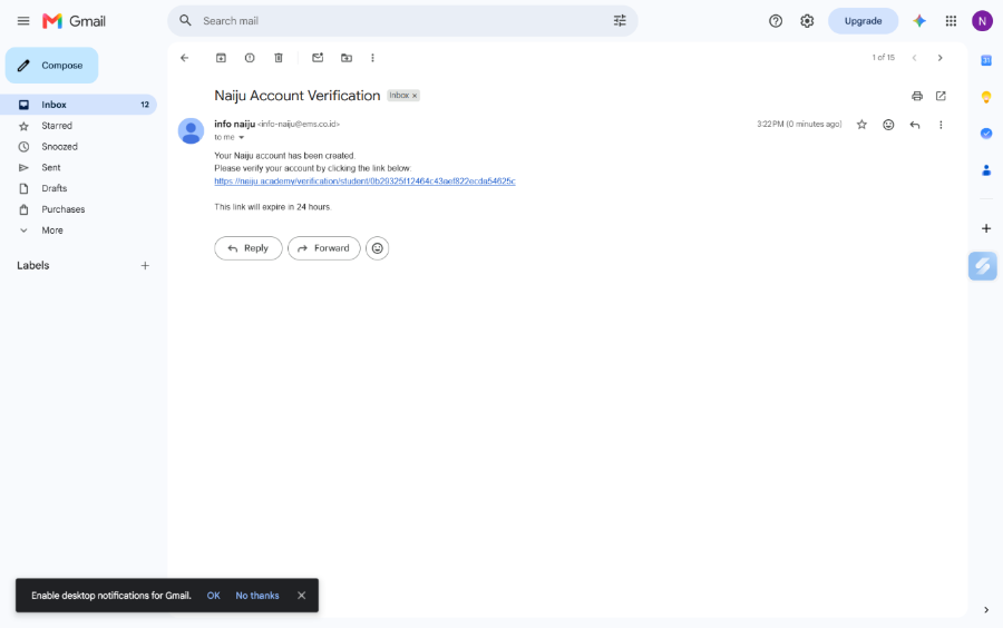 Email Naiju Account Verification di inbox Gmail